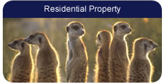 Residential Property